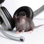 mmw-mice-music-032212